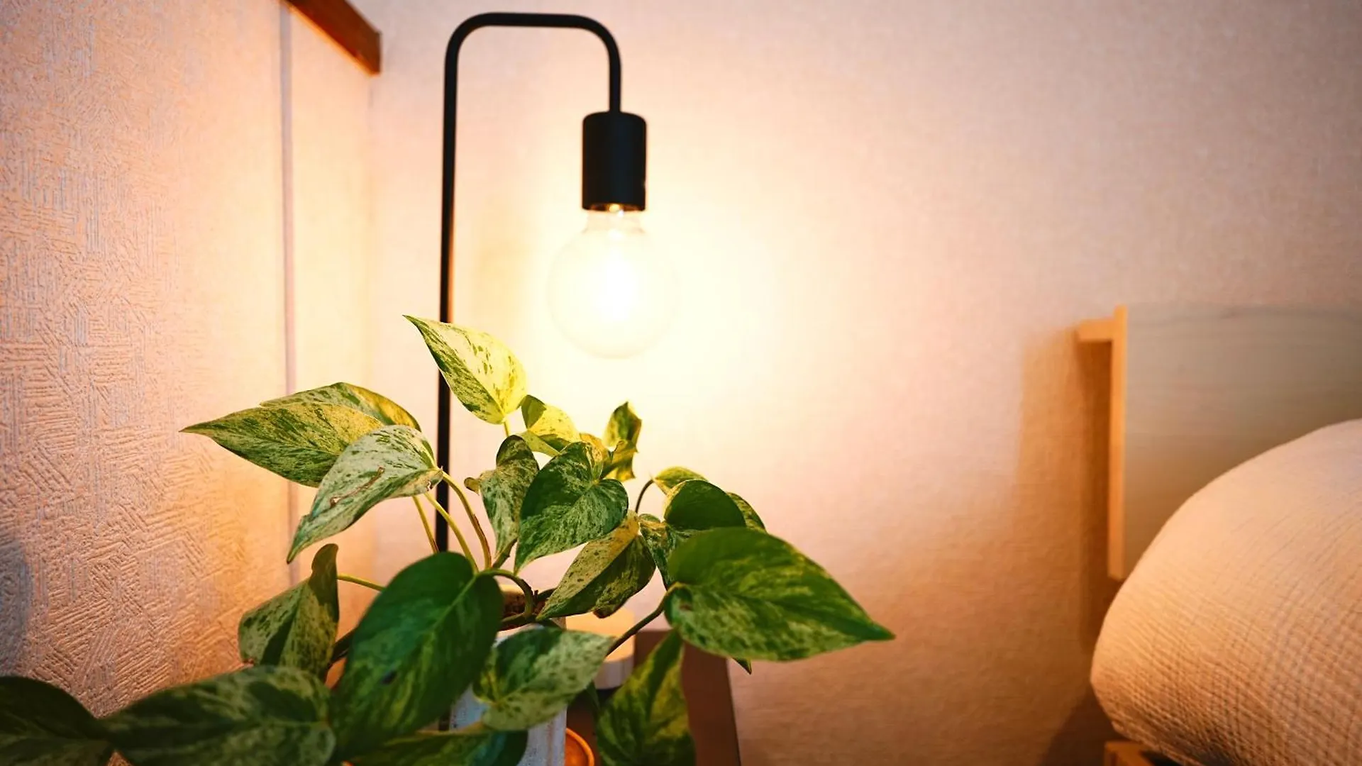 Apartamento Lavender Breeze Nakafurano